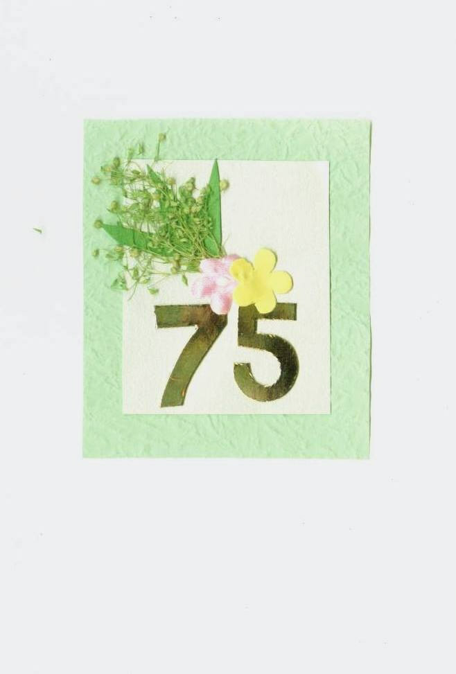 Age (60-75-General Celebrations) Assorted Pack